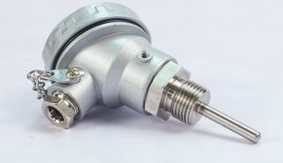 ΟΡΓΑΝΟ ΘΕΡΜ 2